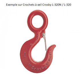Exemple linguet sur crochet Crochets à œil Crosby L-320N / L320